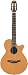 Musical Instruments : Takamine EAN30C FXC Cutaway Acoustic-Electric Guitar