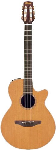 Childrens Toyshop  Musical Instruments : Takamine EAN30C FXC Cutaway Acoustic-Electric Guitar