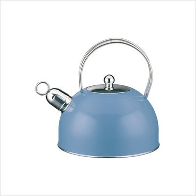 Classic Color Stainless Steel Kettle in Blue