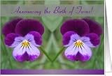 Announcing the Birth of Twins, Two Identical Johnny Jump Up Flowers Card