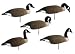 Higdon Decoys 76644 Orig. Stackable Full Body - Canada - 6 Pack