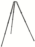 Gitzo Series 5 Systematic 4 Section Tripod GT5542LS