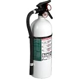 Fire Extinguisher w/ Wall Hook (4lb ABC, Single-Use, Living Area)