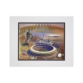  Busch Memorial Stadium Composite Double Matted 8 inch X 10 inch Photograph (Unframed)