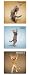 Yoga Cats Magnet Trio
