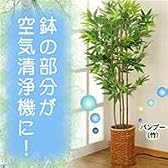 空気清浄機付光触媒加工グリーン　バンブー