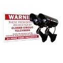 Surveillance Cameras