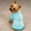 Apple of My Eye Tees -- Dog T-Shirt Small