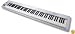 M-Audio Keystation 88ES Midi Controller