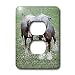 Dogs Chinese Crested Hairless - Chinese Crested Hairless - Light Switch Covers - 2 plug outlet cover