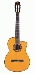 Takamine Pro Series EC132SC Acoustic-Electric Guitar