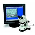 Digital Microscope, 1.3 Million Pixel Camera, Standard Zoom Stereomicroscope, Boreal Digital 1000 w/ Motic Images 2000