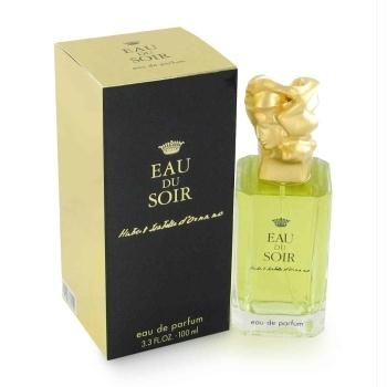 EAU DU SOIR by Sisley Eau De Parfum Spray oz Jamaica Ubuy