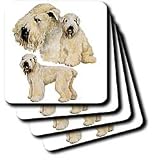 Dogs Soft Coated Wheaten Terrier - Soft Coated Wheaten Terrier - Coasters