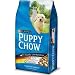 Pet Supplies : Purina Puppy Chow Complete Nutrition Formula- net wt. 17.6 lbs.