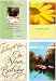 Boxed Cards - All Occasion Value Box