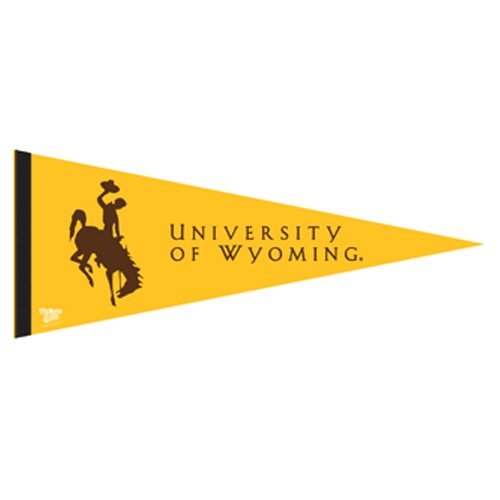 Wyoming Cowboys Gold 12 Felt Pennant
