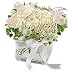 Flowers - Pure