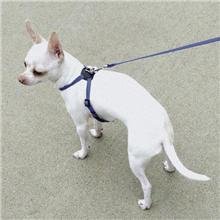 LI'L PALS Adjustable Dog Dog Harness Blue with a Width of 5 16 in.