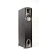 Klipsch F-1 Synergy FloorStanding Loudspeaker (Single, Black)
