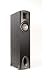 Klipsch F-1 Synergy FloorStanding Loudspeaker (Single, Black)