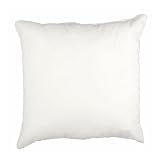 24'' x 24 Indoor/Outdoor Poly Fill Pillow Form By The Each