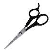 Tweezerman Spirit 2000 Styling Shears