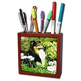 Dogs Sheltie/Shetland Sheepdog - Sheltie - Tile Pen Holders-5 inch tile pen holder