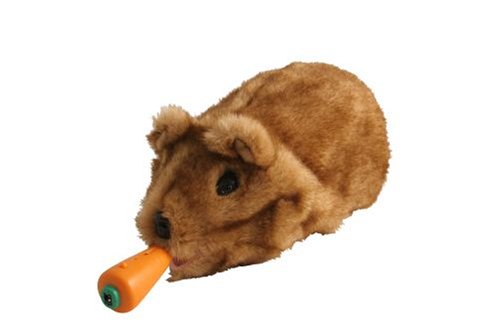 Childrens Toyshop  Toys : Gupi Ver3 Robot GuineaPig