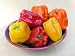 Bell Peppers Crimson, Gold and Orange Seeds 28 Seeds