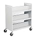 Buddy Products Slant Shelf Library Cart, Steel, 18 x 42 x 37 Inches, Platinum, (5416-32)