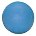 Cannonball Weight Training Ball – Blue