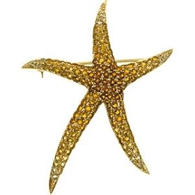 14K Yellow Gold Multi Gemstone Starfish Brooch Pendant by Gems-is-Me