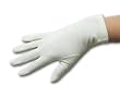 CLEARANCE Double Woven Nylon Gloves, 4-Button Length
