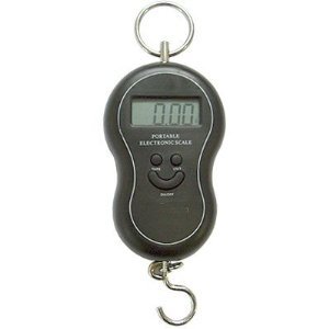 Produkt-Bild: eSecure - Digitale Urlaub Reise Gep&auml;ck Koffer Gewicht Gep&auml;ckwaage Waage 40Kg
