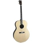 Gold Tone TG-18 Tenor Guitar (Four String, Natural)
