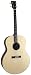 Gold Tone TG-18 Tenor Guitar (Four String, Natural)