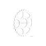 Miche Shimano 28t Middle/Final Position Cog, 8/9-Speed