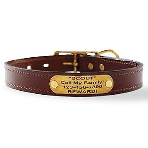 Personalized English Bridle-leather Pet Collar - Rich Brown, 1"W x 22"L - Frontgate