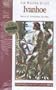 Ivanhoe (Classic Fiction)