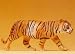 Preiser 47511 Tiger Walking