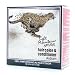 Hair Color-Henna Auburn - 4 oz. - Powder