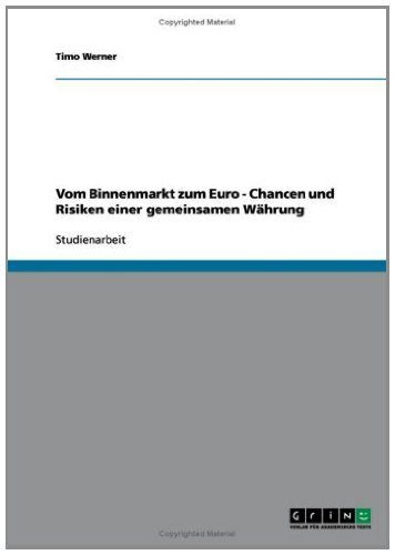 Vom Binnenmarkt zum Euro - Chancen und Risiken einer gemeinsamen Währung (German Edition)
