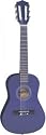 Palma Junior Guitar Outfit, Purple