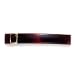 Caravan Shell Barrette with Gold Buckle Decorative 3-1/4