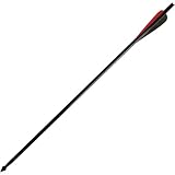 Barnett 20 Arrows-w/Field Point and Moon Nock