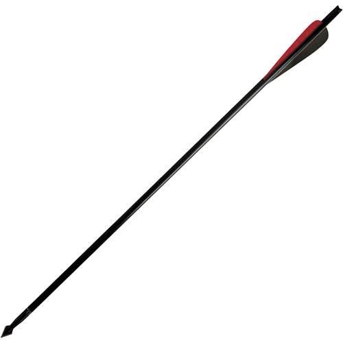 Barnett 20" Arrows-w/Field Point and Moon Nock