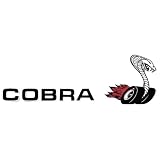 1970 Ford Torino Cobra Decal Kit by Phoenix Graphix
