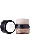 philosophy - the supernatural: airbrush canvas spf - silk-to-satin pigment foundation