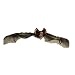 Hanging Bat Halloween Decoration